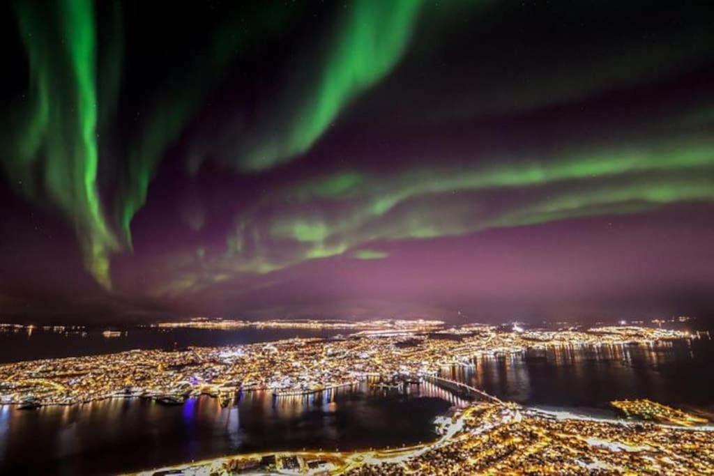 Sentralt Pa Fastlandet Og Gaavstand Til Alle Fasiliteter! Tromsdalen エクステリア 写真