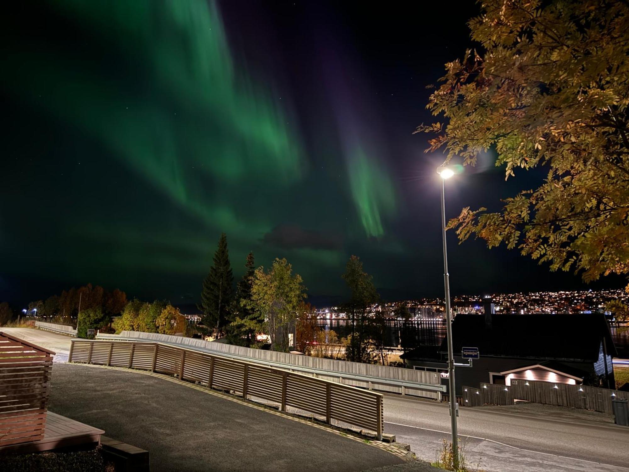 Sentralt Pa Fastlandet Og Gaavstand Til Alle Fasiliteter! Tromsdalen エクステリア 写真